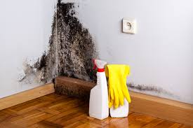 Best HVAC Mold Inspection and Cleaning  in Monfort Heights, OH